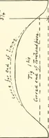 An illustration from Museum ideals of purpose and method (1918)