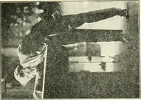 An illustration from Museum ideals of purpose and method (1918)