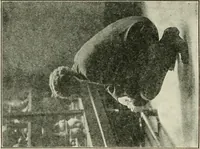 An illustration from Museum ideals of purpose and method (1918)