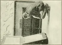 An illustration from Museum ideals of purpose and method (1918)