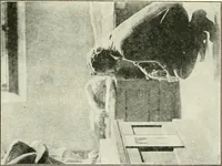 An illustration from Museum ideals of purpose and method (1918)
