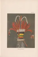 An illustration from The Museum journal (1910)