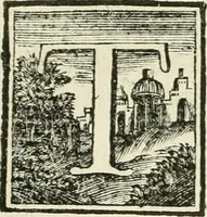 An illustration from Museum Odescalchum, sive, Thesaurus antiquarum gemmarum : cum imaginibus in iisdem insculptis, et iisdem exsculptis, quæ a serenissima Christina svecorum regina collectæ in Museo Odescalcho adservantur, et a Petro Sancte Bartolo quondam incisæ, nunc primum in lucem proferuntur .. (1751)
