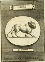 An illustration from Museum Odescalchum, sive, Thesaurus antiquarum gemmarum : cum imaginibus in iisdem insculptis, et iisdem exsculptis, quæ a serenissima Christina svecorum regina collectæ in Museo Odescalcho adservantur, et a Petro Sancte Bartolo quondam incisæ, nunc primum in lucem proferuntur .. (1751)