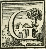 An illustration from Museum Odescalchum, sive, Thesaurus antiquarum gemmarum : cum imaginibus in iisdem insculptis, et iisdem exsculptis, quæ a serenissima Christina svecorum regina collectæ in Museo Odescalcho adservantur, et a Petro Sancte Bartolo quondam incisæ, nunc primum in lucem proferuntur .. (1751)