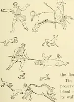 Picture 43 of 218 from Museum of antiquity : a description of ancient life : the employments, amusements, customs and habits, the cities, palaces, monuments and tombs, the literature and fine arts of 3,000 years ago (1882), leaf 156
