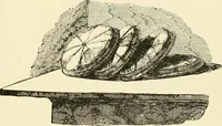 An illustration from Museum of antiquity : a description of ancient life : the employments, amusements, customs and habits, the cities, palaces, monuments and tombs, the literature and fine arts of 3,000 years ago (1882)