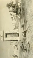 Picture 109 of 218 from Museum of antiquity : a description of ancient life : the employments, amusements, customs and habits, the cities, palaces, monuments and tombs, the literature and fine arts of 3,000 years ago (1882), leaf 410