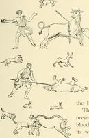Picture 38 of 210 from Museum of antiquity; a description of ancient life: the employments, amusements, customs and habits, the cities, places, monuments and tombs, the literature and fine arts of 3,000 years ago (1887), leaf 148