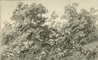 An illustration from The museum of classical antiquities : being a series of essays on ancient art (1860)