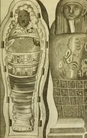An illustration from Museum regium, seu, Catalogus rerum tam naturalium, quam artificialium, quae in basilica bibliothecae augustissimi Daniae Norvegiaeq[ue] monarchae Christiani Quinti, Hafniae asservantur (1696)
