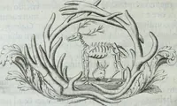 Picture 7 of 87 from Museum regium, seu, Catalogus rerum tam naturalium, quam artificialium, quae in basilica bibliothecae augustissimi Daniae Norvegiaeq[ue] monarchae Christiani Quinti, Hafniae asservantur (1696), leaf 31