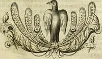 Picture 10 of 87 from Museum regium, seu, Catalogus rerum tam naturalium, quam artificialium, quae in basilica bibliothecae augustissimi Daniae Norvegiaeq[ue] monarchae Christiani Quinti, Hafniae asservantur (1696), leaf 34