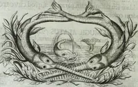 Picture 13 of 87 from Museum regium, seu, Catalogus rerum tam naturalium, quam artificialium, quae in basilica bibliothecae augustissimi Daniae Norvegiaeq[ue] monarchae Christiani Quinti, Hafniae asservantur (1696), leaf 39