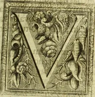 Picture 15 of 87 from Museum regium, seu, Catalogus rerum tam naturalium, quam artificialium, quae in basilica bibliothecae augustissimi Daniae Norvegiaeq[ue] monarchae Christiani Quinti, Hafniae asservantur (1696), leaf 40