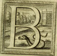 Picture 18 of 87 from Museum regium, seu, Catalogus rerum tam naturalium, quam artificialium, quae in basilica bibliothecae augustissimi Daniae Norvegiaeq[ue] monarchae Christiani Quinti, Hafniae asservantur (1696), leaf 44
