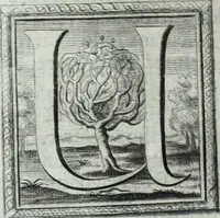 Picture 21 of 87 from Museum regium, seu, Catalogus rerum tam naturalium, quam artificialium, quae in basilica bibliothecae augustissimi Daniae Norvegiaeq[ue] monarchae Christiani Quinti, Hafniae asservantur (1696), leaf 47