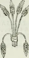 An illustration from Museum veronense, hoc est, Antiquarum inscriptionum atque anaglyphorum collectio : cui Taurinensis adiungitur et Vindobonensis : accedunt monumenta id genus plurima nondum vulgata, et ubicumque collecta (1749)