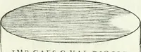 An illustration from Museum veronense, hoc est, Antiquarum inscriptionum atque anaglyphorum collectio : cui Taurinensis adiungitur et Vindobonensis : accedunt monumenta id genus plurima nondum vulgata, et ubicumque collecta (1749)