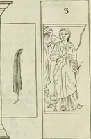 An illustration from Museum veronense, hoc est, Antiquarum inscriptionum atque anaglyphorum collectio : cui Taurinensis adiungitur et Vindobonensis : accedunt monumenta id genus plurima nondum vulgata, et ubicumque collecta (1749)
