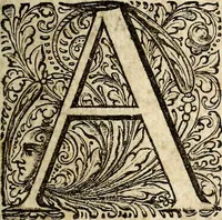 Picture 2 of 9 from Musicae compendium (1656), leaf 10