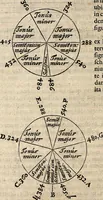 An illustration from Musicae compendium (1656)