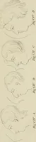 An illustration from The music of the eye; or, Essays on the principles of the beauty and perfection of architecture, as founded on and deduced from reason and analogy, and adapted to what may be traced of the ancient theories of taste, in the three first chapters of Vitruvius .. (1831)