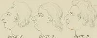 An illustration from The music of the eye; or, Essays on the principles of the beauty and perfection of architecture, as founded on and deduced from reason and analogy, and adapted to what may be traced of the ancient theories of taste, in the three first chapters of Vitruvius .. (1831)