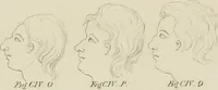 An illustration from The music of the eye; or, Essays on the principles of the beauty and perfection of architecture, as founded on and deduced from reason and analogy, and adapted to what may be traced of the ancient theories of taste, in the three first chapters of Vitruvius .. (1831)