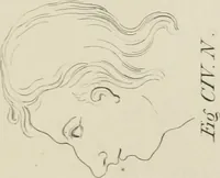 An illustration from The music of the eye; or, Essays on the principles of the beauty and perfection of architecture, as founded on and deduced from reason and analogy, and adapted to what may be traced of the ancient theories of taste, in the three first chapters of Vitruvius .. (1831)
