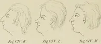 An illustration from The music of the eye; or, Essays on the principles of the beauty and perfection of architecture, as founded on and deduced from reason and analogy, and adapted to what may be traced of the ancient theories of taste, in the three first chapters of Vitruvius .. (1831)
