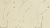 An illustration from The music of the eye; or, Essays on the principles of the beauty and perfection of architecture, as founded on and deduced from reason and analogy, and adapted to what may be traced of the ancient theories of taste, in the three first chapters of Vitruvius .. (1831)