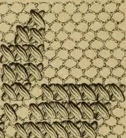 An illustration from Muster altdeutscher Leinenstickerei : IV (1888)