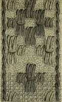 An illustration from Muster altdeutscher Leinenstickerei : IV (1888)