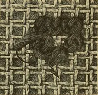 An illustration from Muster altdeutscher Leinenstickerei : IV (1888)