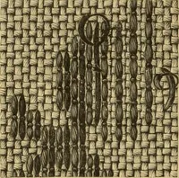 An illustration from Muster altdeutscher Leinenstickerei : IV (1888)