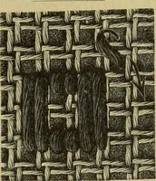 An illustration from Muster altdeutscher Leinenstickerei : IV (1888)