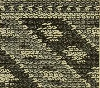 An illustration from Muster altdeutscher Leinenstickerei : IV (1888)