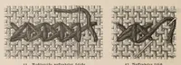An illustration from Muster altitalienischer Leinenstickrei; (1881)