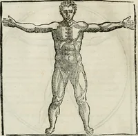 An illustration from M. Vitruuio Pollion De architectura : diuidido en diez libros, traduzidos de Latin en Castellano por Miguel de Vrrea architecto, y facado en su perfectio por Iuan Gracian impressor vezino de Alcala (1582)
