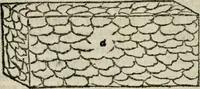 An illustration from M. Vitrvvii De architectvra libri decem : nuper maxima diligentia castigati atq[ue] excusi : additis Iulij Frontini De aqueductibus libris propter materiae affinitatem (1522)