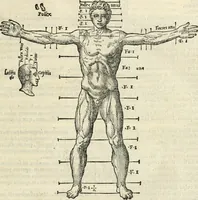 An illustration from M. Vitrvvii Pollionis De architectura libri decem (1567)