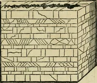 An illustration from M. Vitrvvii viri svae professionis pertissimi De architectvra libri decem, ad Avgvstum Cæsarem accuratiss. conscripsit & nvnc primvm in Germania qva potuit diligentia excusi, atq[ue] hinc inde schematibus non iniucundis exornati (1543)