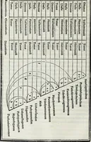 An illustration from M. Vitrvvivs per Iocvndvm solito castigatior factvs cvm figvris et tabvla vt iam legi et intelligi possit (1511)