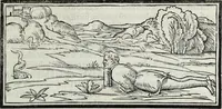 Picture 93 of 133 from M. Vitrvvivs per Iocvndvm solito castigatior factvs cvm figvris et tabvla vt iam legi et intelligi possit (1511), leaf 162