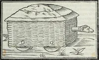 Picture 131 of 133 from M. Vitrvvivs per Iocvndvm solito castigatior factvs cvm figvris et tabvla vt iam legi et intelligi possit (1511), leaf 226