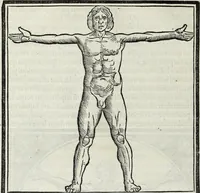An illustration from M. Vitrvvivs per Iocvndvm solito castigatior factvs cvm figvris et tabvla vt iam legi et intelligi possit (1511)