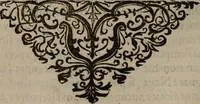 Picture 22 of 71 from Mvndi lapis lydivs, siue Vanitas per veritate falsi accusate & conuicta opera d. Antonii a Bvrgvndia .. (1639), leaf 49