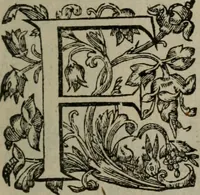 Picture 3 of 71 from Mvndi lapis lydivs, siue Vanitas per veritate falsi accusate & conuicta opera d. Antonii a Bvrgvndia .. (1639), leaf 6