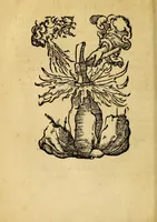 An illustration from Mvsicae epitome ex Glareani Dodechordo vna tum qvinqve melodiis svper eivsdem Glareani Panegyrico de Helveticarum XIII urbium Laudibus (1559)